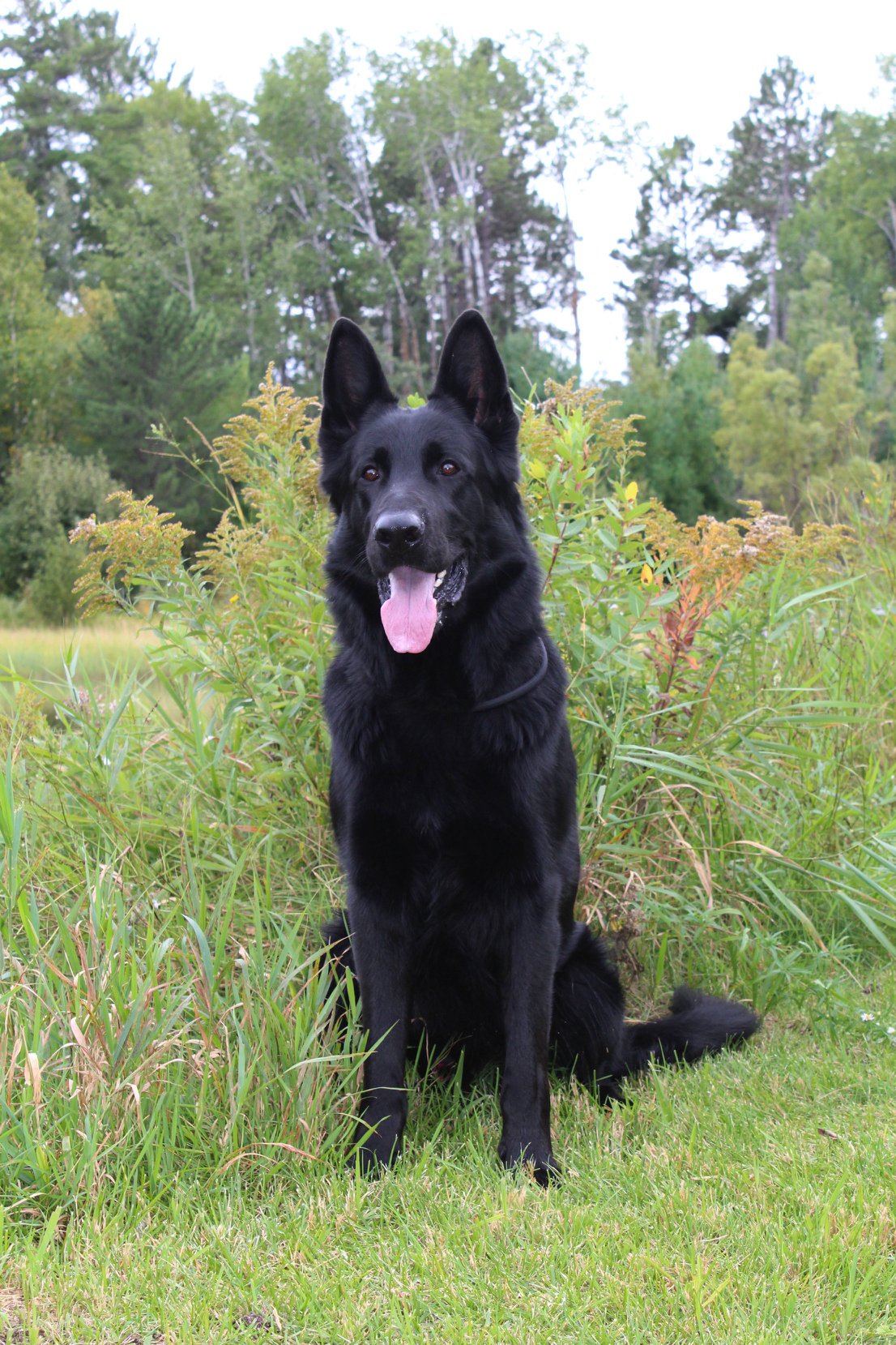 Stryker sitting