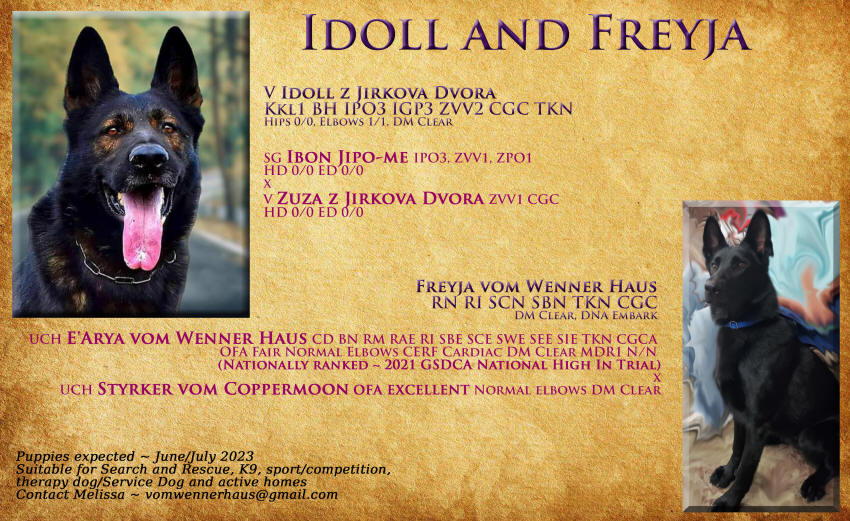 idoll and freyja announcement